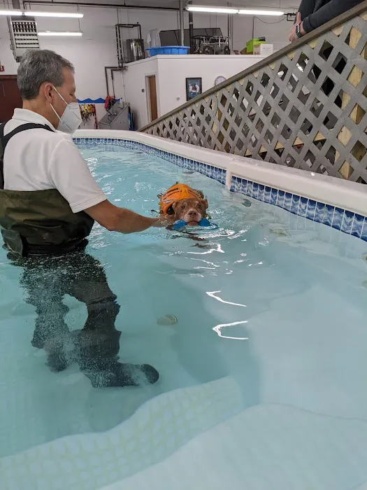 Good Dog Aquatic Fitness Picture 1