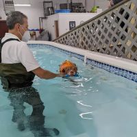 Good Dog Aquatic Fitness ico