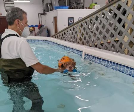 Good Dog Aquatic Fitness