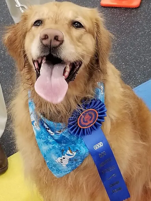 Good Dog Aquatic Fitness Picture 4