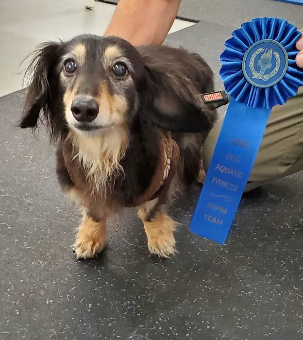 Good Dog Aquatic Fitness Picture 6