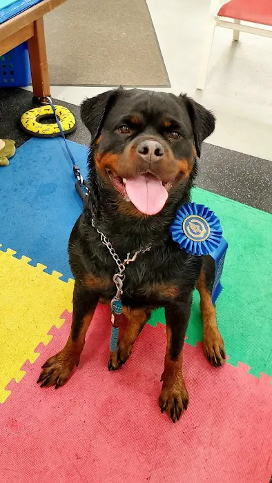 Good Dog Aquatic Fitness Picture 8