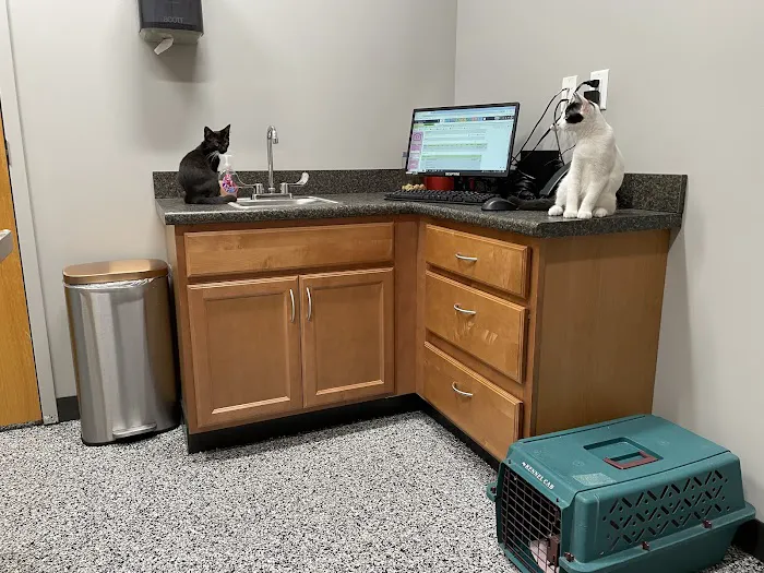 East Mill Animal Hospital Picture 7