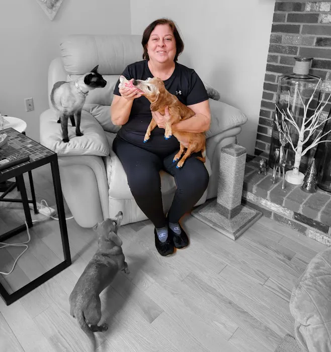 Park Street Veterinary Clinic Picture 2
