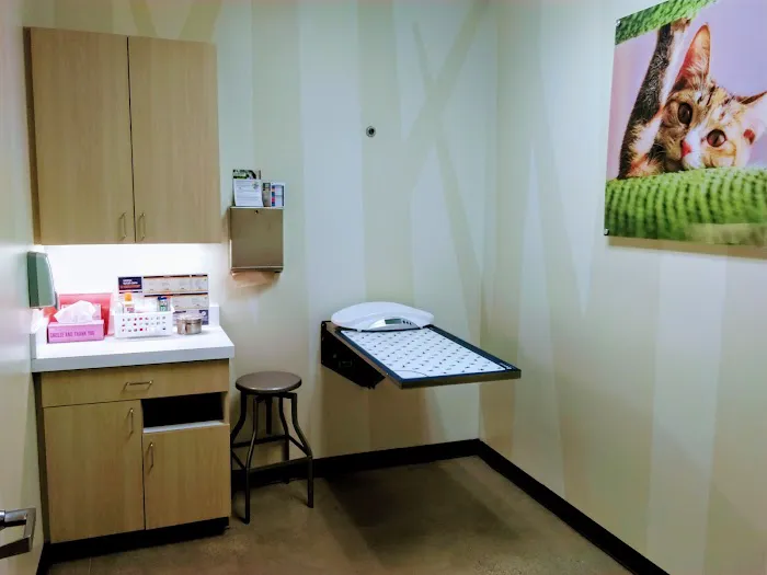 Vetco Total Care Animal Hospital Picture 3
