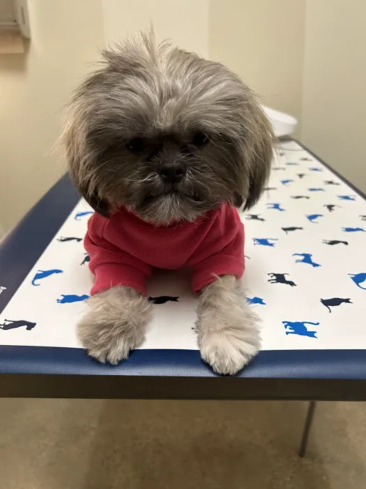 Vetco Total Care Animal Hospital Picture 8