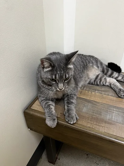 Vetco Total Care Animal Hospital Picture 7