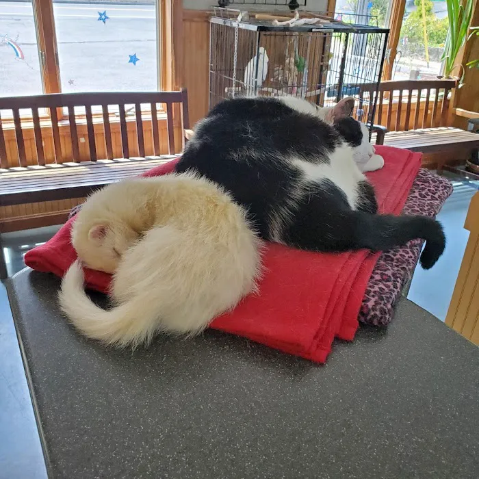 Animal Center Picture 3