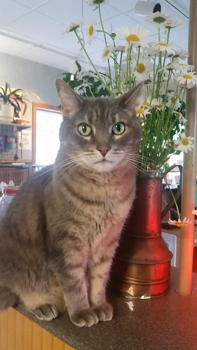 Animal Center Picture 7
