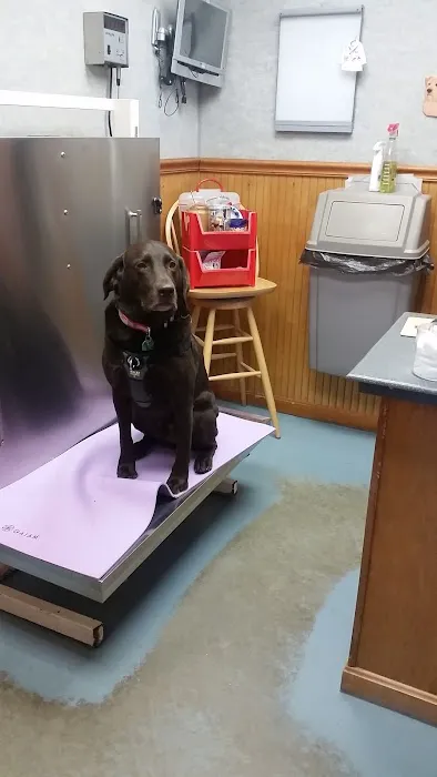 Animal Center Picture 5