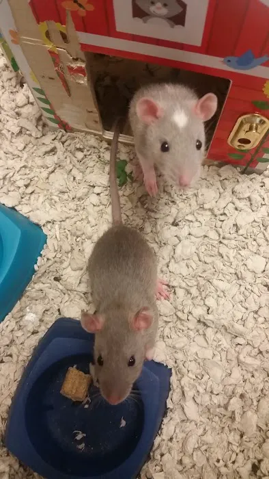 Animal Center Picture 10