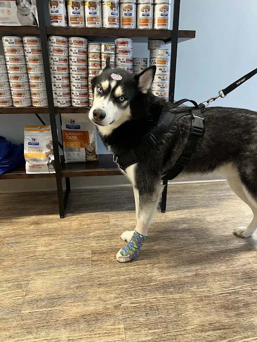 Veterinary Urgent Care Center - Saugus Picture 4