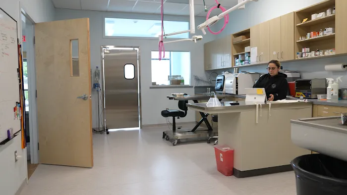 Veterinary Urgent Care Center - Saugus Picture 8