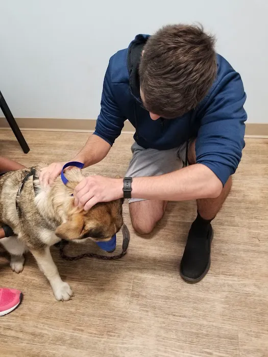Veterinary Urgent Care Center - Saugus Picture 6