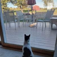 Fur and Feathers Veterinary Care ico