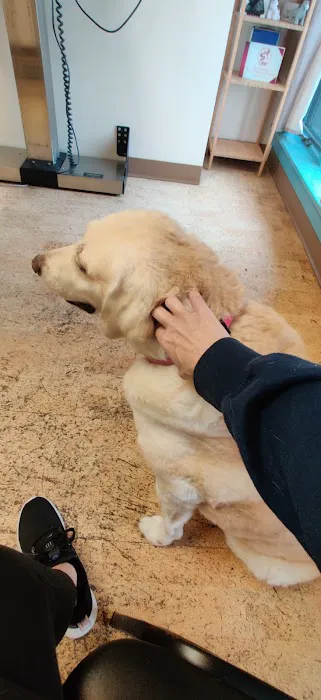 Fur and Feathers Veterinary Care Picture 7