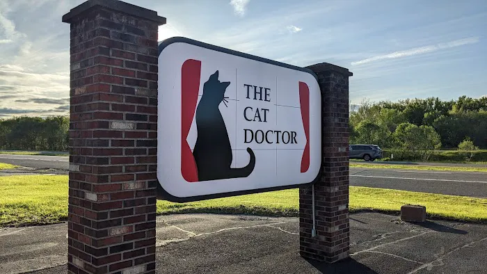 The Cat Doctor Picture 1