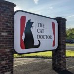 The Cat Doctor