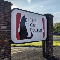 The Cat Doctor ico