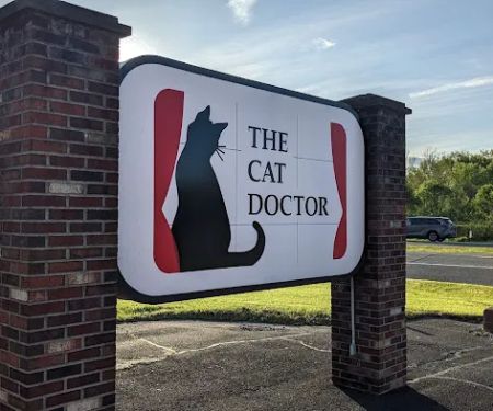 The Cat Doctor