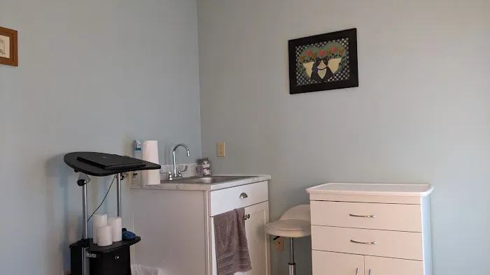 The Cat Doctor Picture 6