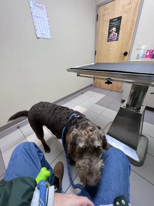 Chenango Animal Hospital Picture 3