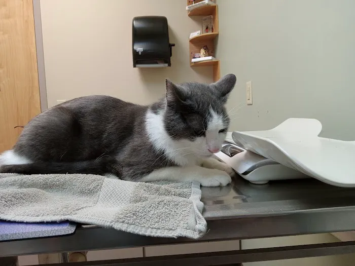 Chenango Animal Hospital Picture 4
