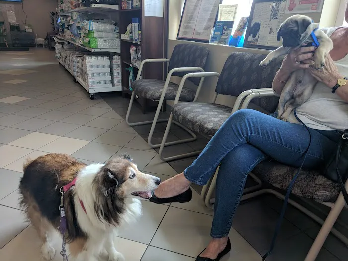 Chenango Animal Hospital Picture 6