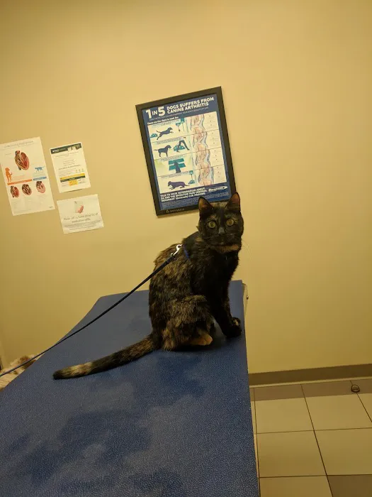 Chenango Animal Hospital Picture 7