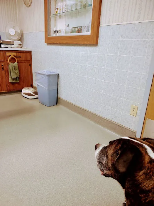 Allen Veterinary Hospital Picture 3