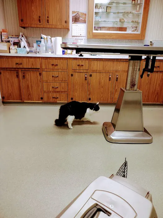 Allen Veterinary Hospital Picture 2