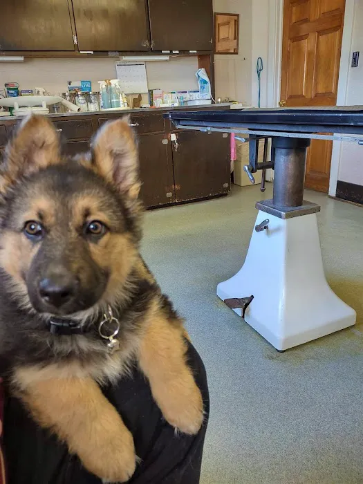 Allen Veterinary Hospital Picture 4