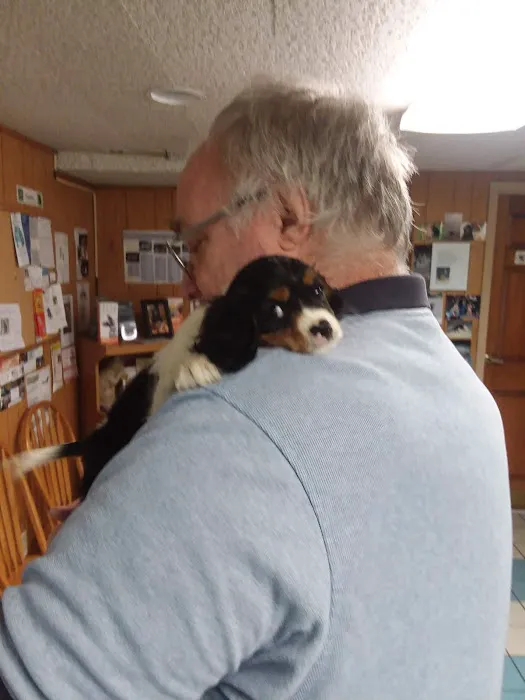 Allen Veterinary Hospital Picture 10