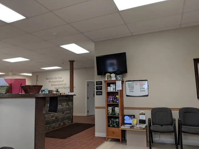 Speak Animal Hospital Picture 3