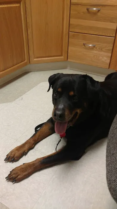 Speak Animal Hospital Picture 4