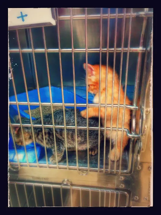 Speak Animal Hospital Picture 10