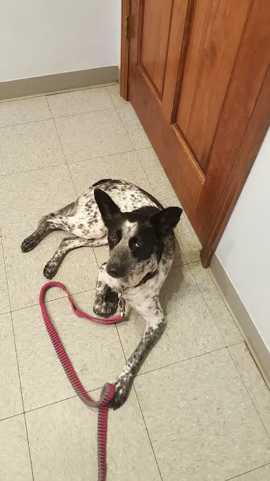 Sweet Valley Veterinary Clinic Picture 2