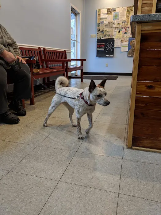 Sweet Valley Veterinary Clinic Picture 9