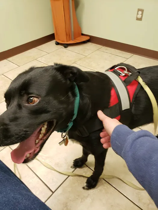 Kutztown Animal Hospital Picture 1