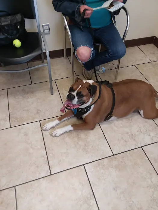 Kutztown Animal Hospital Picture 2