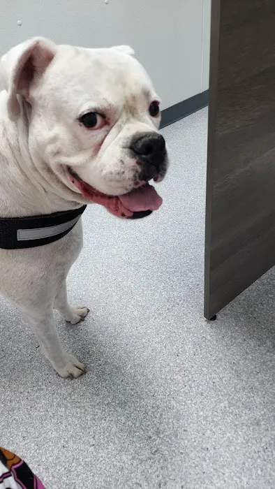 River Run Veterinary Hospital Picture 4
