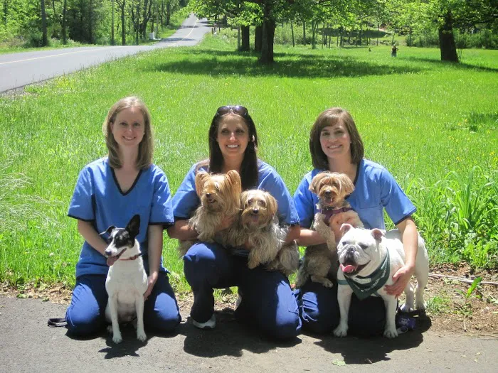 Mountain Shadow Veterinary Hospital Picture 1