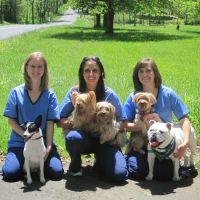 Mountain Shadow Veterinary Hospital ico