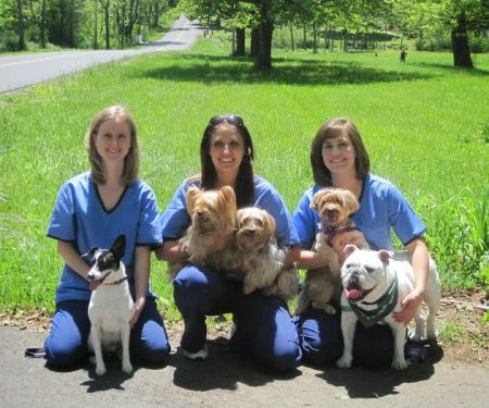 Mountain Shadow Veterinary Hospital