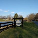 Bliss Haven Animal Clinic