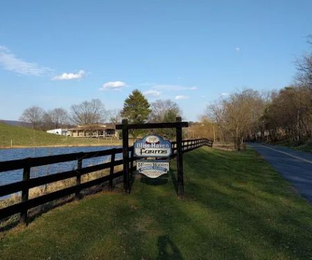 Bliss Haven Animal Clinic