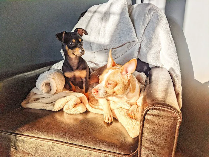 Animal Care Center Picture 3