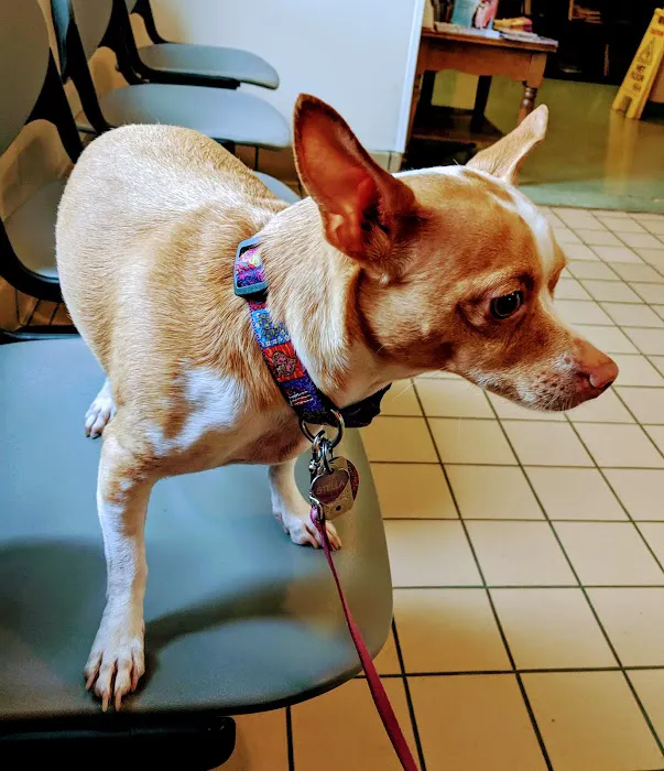 Animal Care Center Picture 5