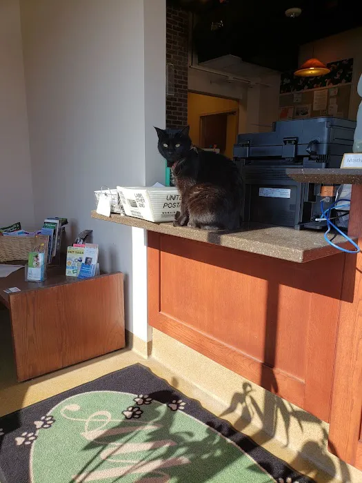Alpine Animal Clinic Picture 2