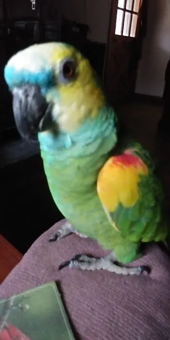 Alpine Animal Clinic Picture 3